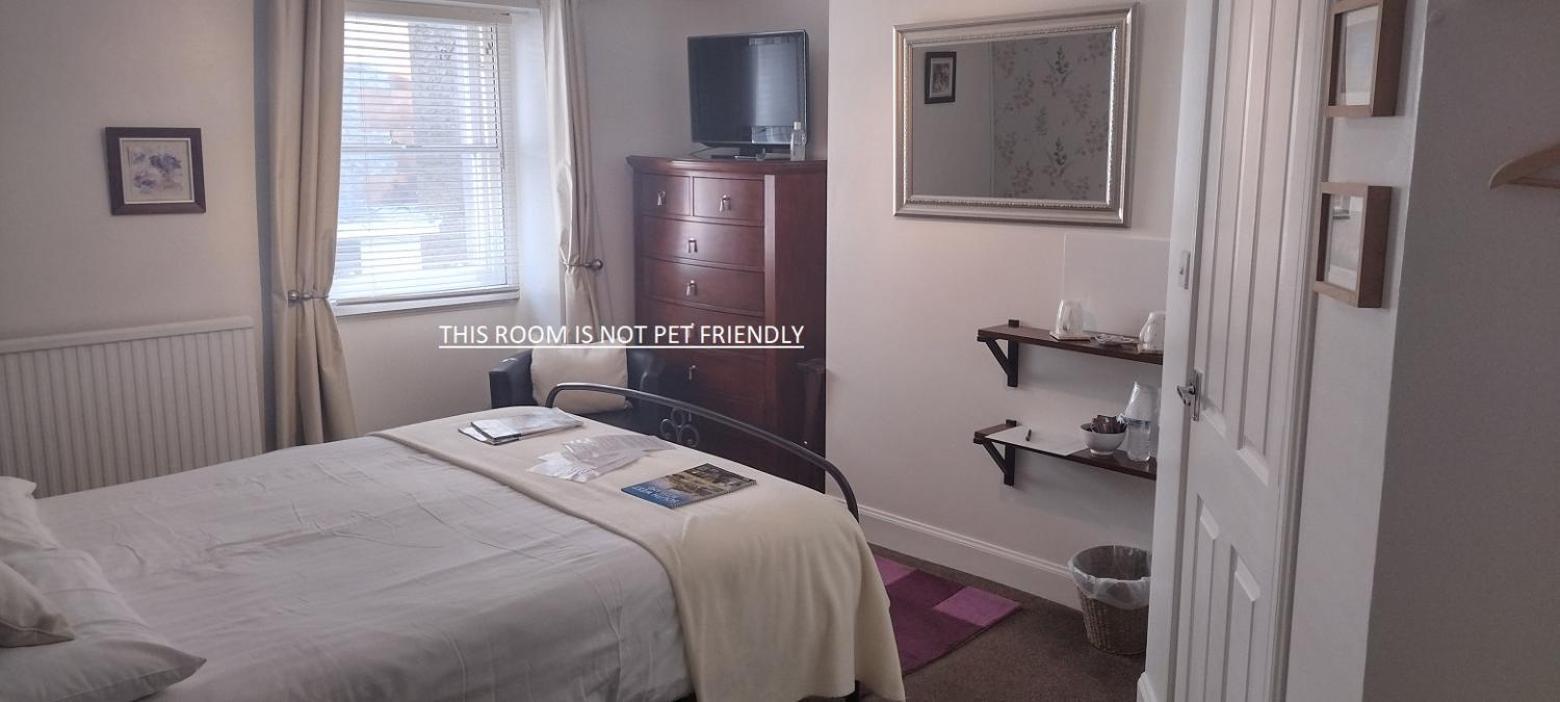 מופאט 29 Well Street B&B מראה חיצוני תמונה