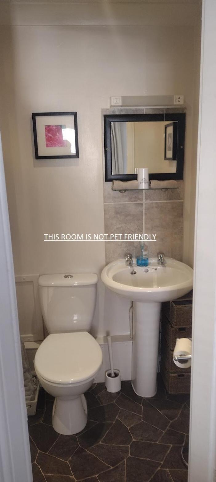 מופאט 29 Well Street B&B מראה חיצוני תמונה